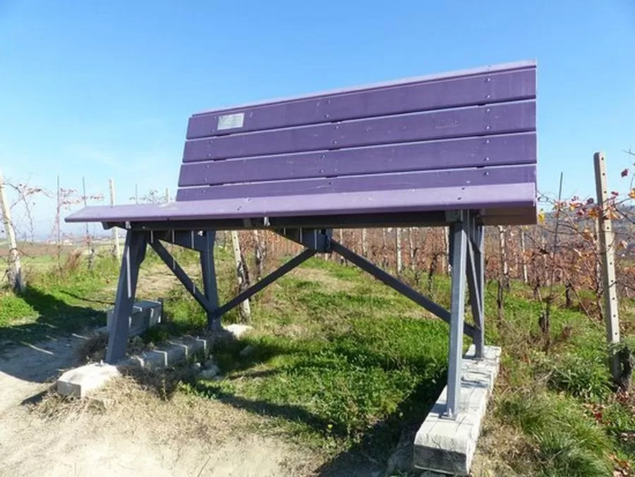 panchine-viola-faicchio