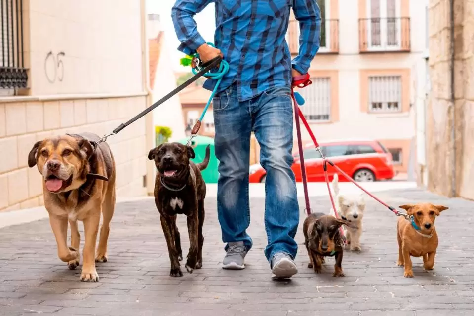 napoli-uomo-accoltellato-piazza-cavour