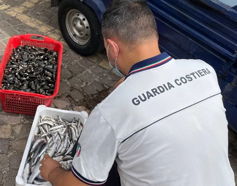 ercolano-sequestro-pesce-apecar