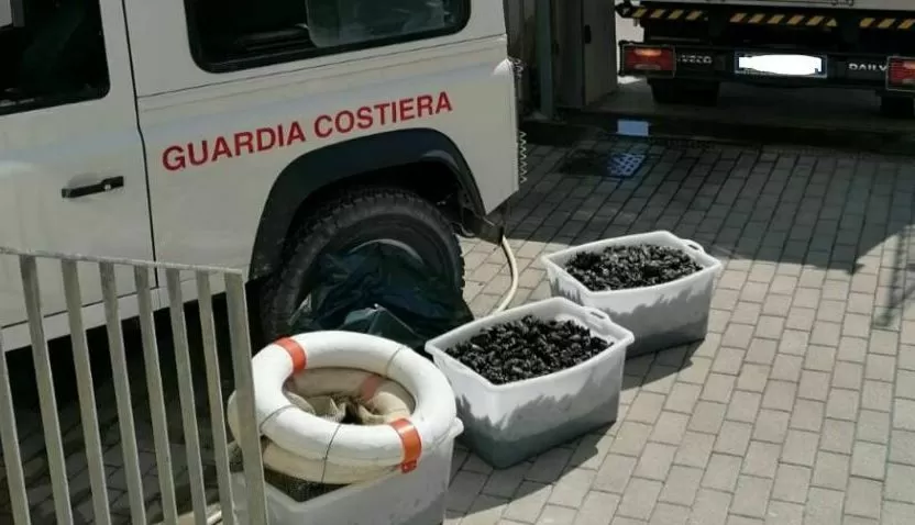 cozze-sequestrate-castel-volturno-spiaggia-ischitella