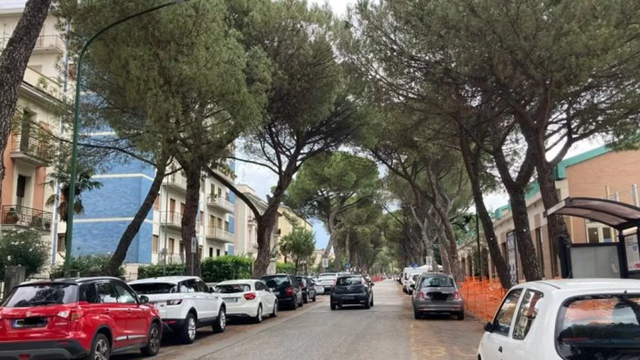 benevento-sequestro-pini-dove-perche