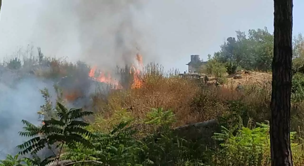 incendio-vesuvio-brucia-parco-nazionale-12-agosto