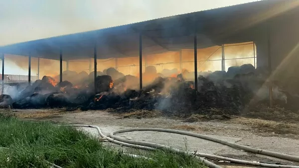 villa-literno-incendio-azienda-bufalina