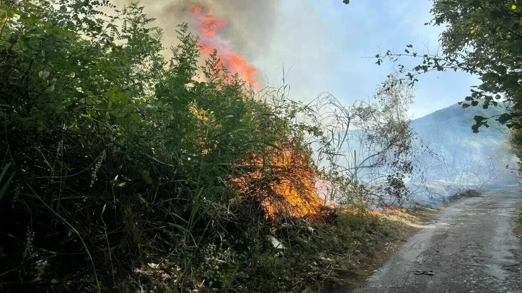 incendio-parco-nazionale-vesuvio-3-agosto