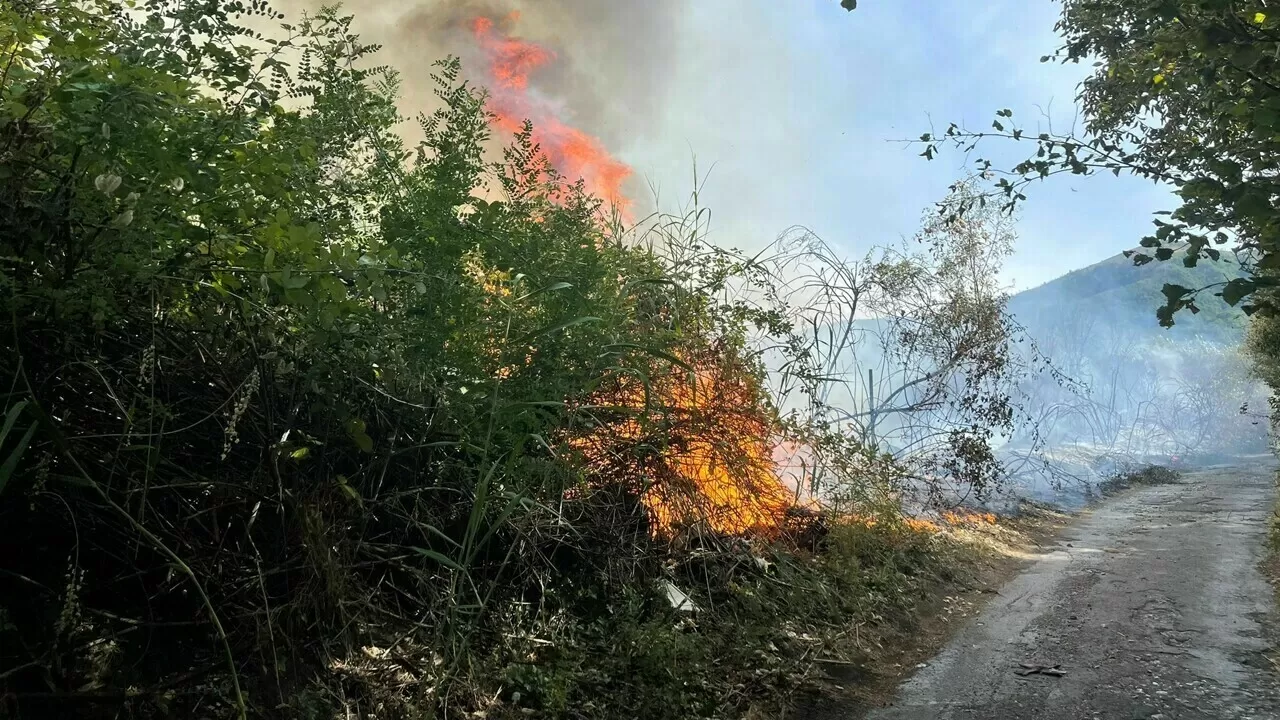 incendio-parco-nazionale-vesuvio-3-agosto