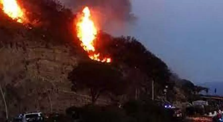 incendio-ischia-rifiuti-ettaro-macchia-sottobosco