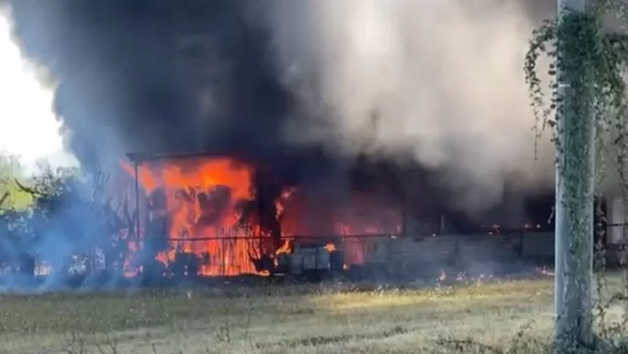 incendio-limatola-morti-animali