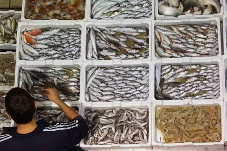 pozzuoli-sequestro-pesce-mercato-1-ottobre-quando