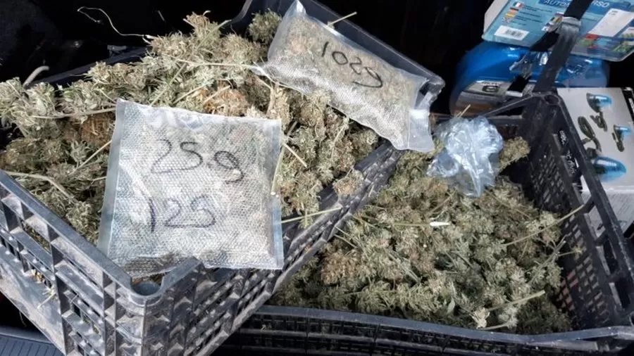 avellino-arrestato-spacciatore-reddito-cittadinanza-26-ottobre