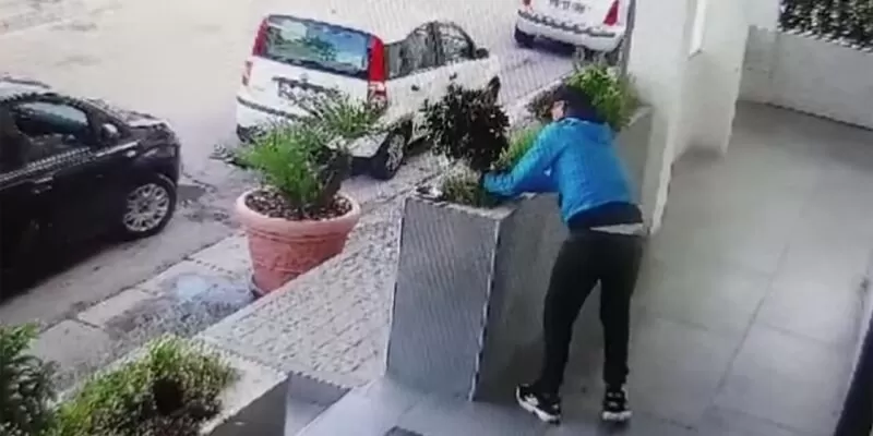 cimitile ruba piante 4 novembre