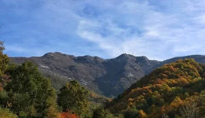 anziano-disperso-monte-gelbison-ricerche-9-novembre