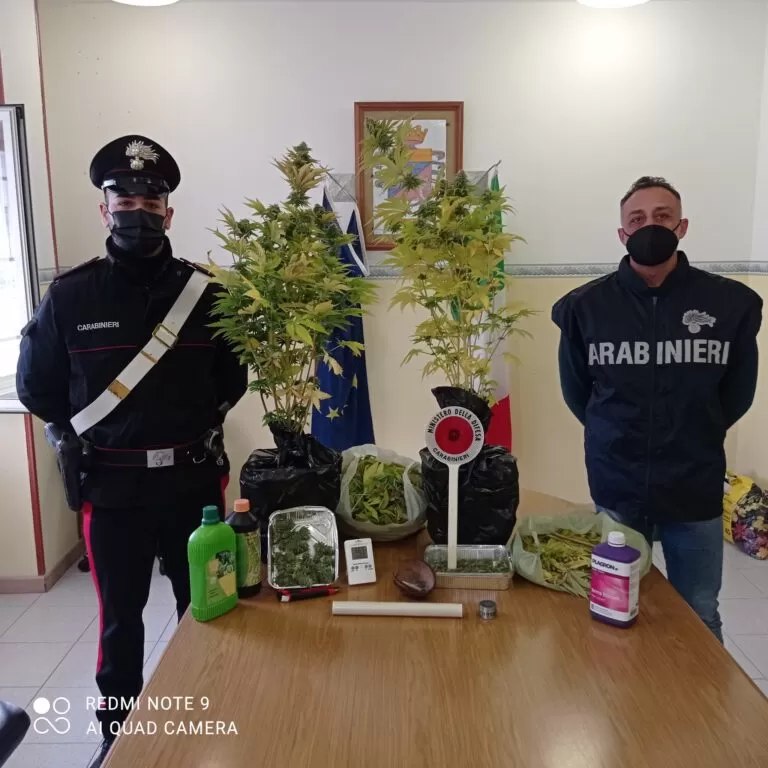 benevento cannabis mansarda