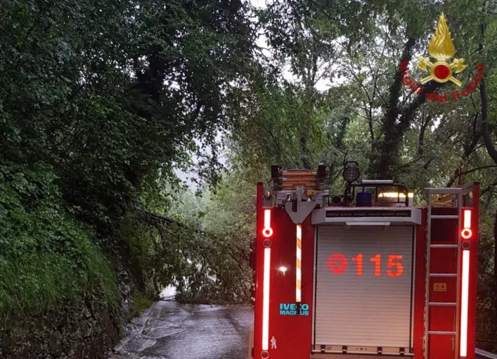 teano albero vento cade cavi elettrici