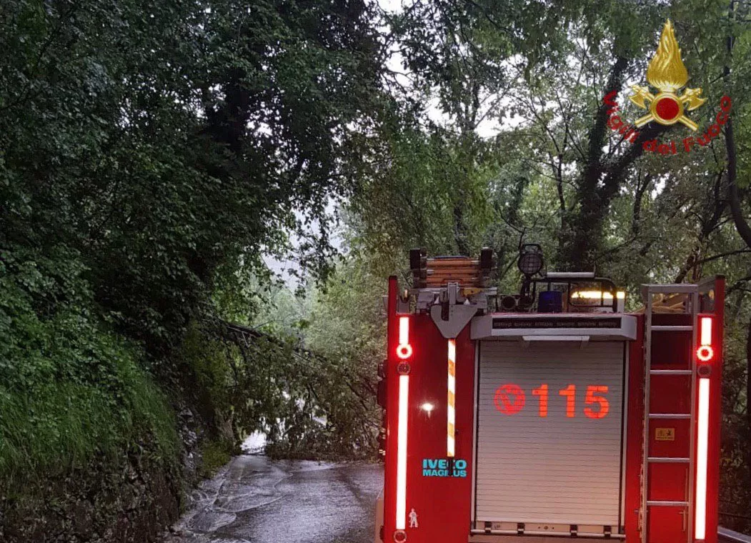 teano albero vento cade cavi elettrici