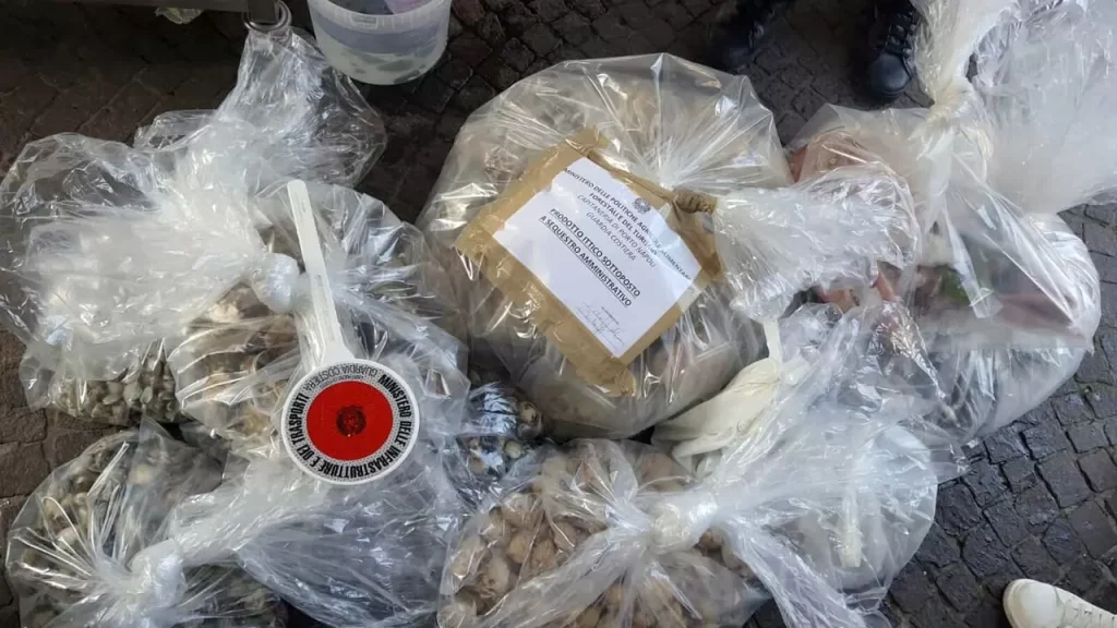 napoli sequestro pesce molluschi 11 marzo