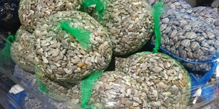 sequestro-frutti-mare-mugnano-napoli-volla