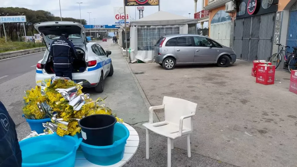 castel-volturno-venditore-ambulante-mimose