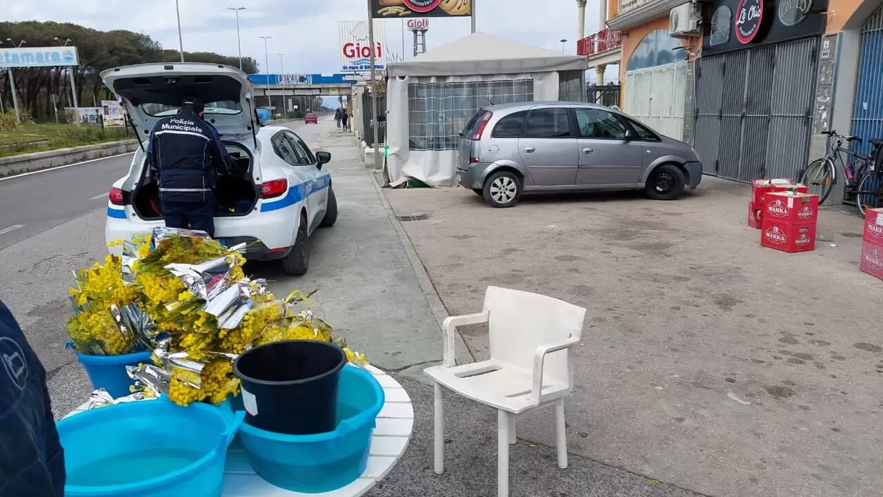 castel-volturno-venditore-ambulante-mimose