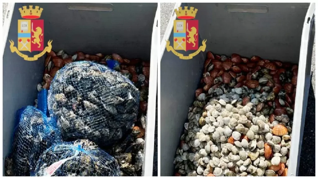 sequestro pescherie Napoli 26 marzo