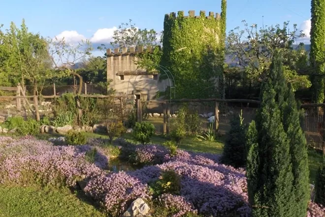 ladri giardino segreto