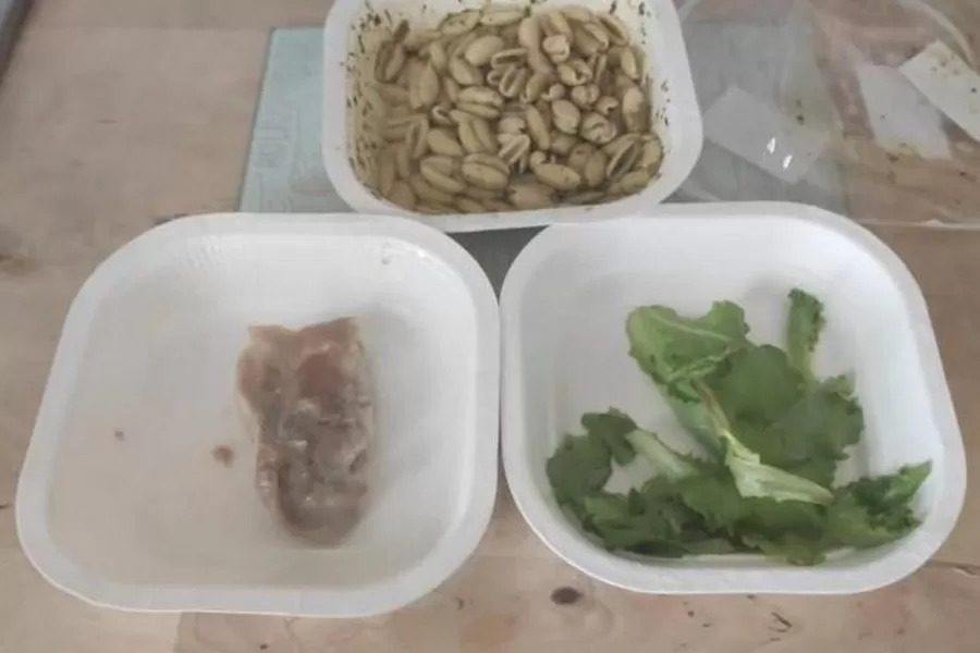 cibo-crudo-mensa-scuola-napoli-pollo