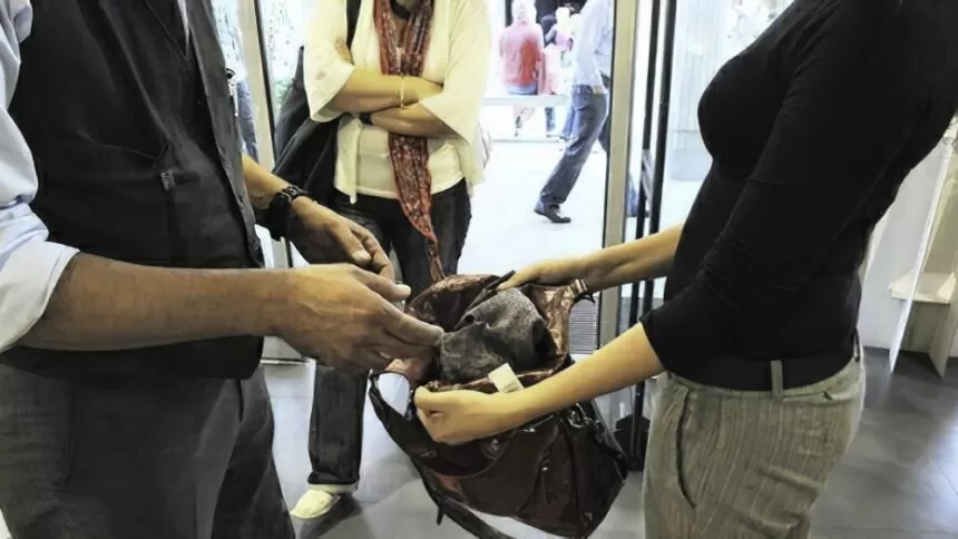 napoli-ruba-scarpe-ragazza-arrestata-toledo