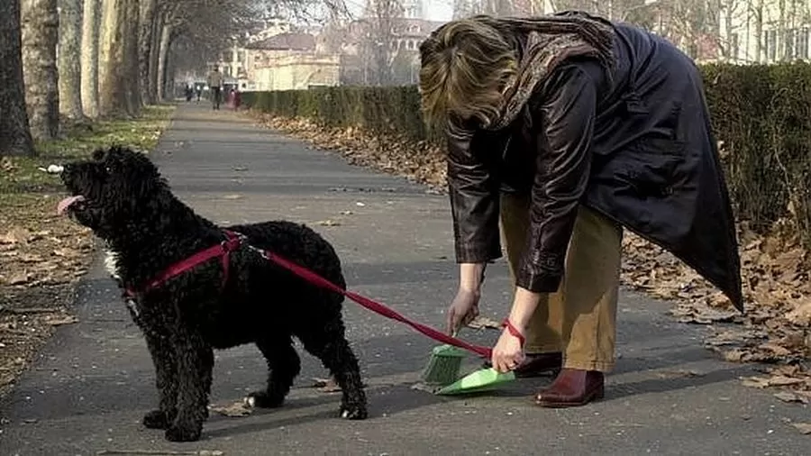 benevento-multe-deiezioni-canine