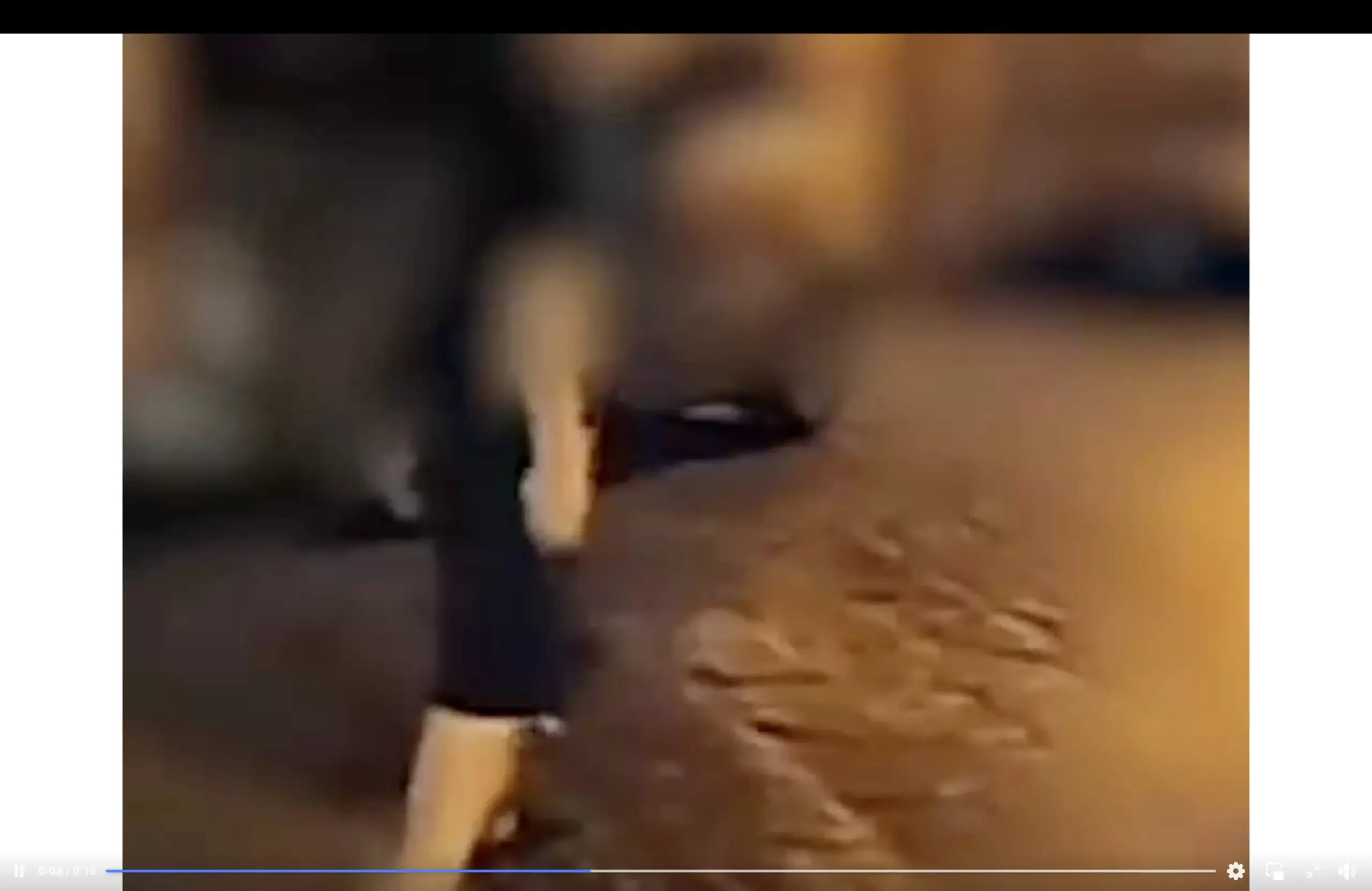 ragazzo quartieri spagnoli taser
