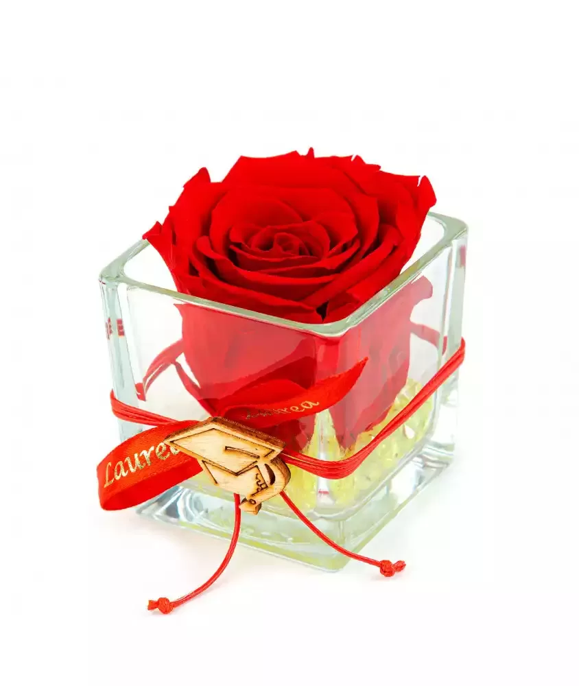 Bomboniera Laurea idee rose stabilizzate