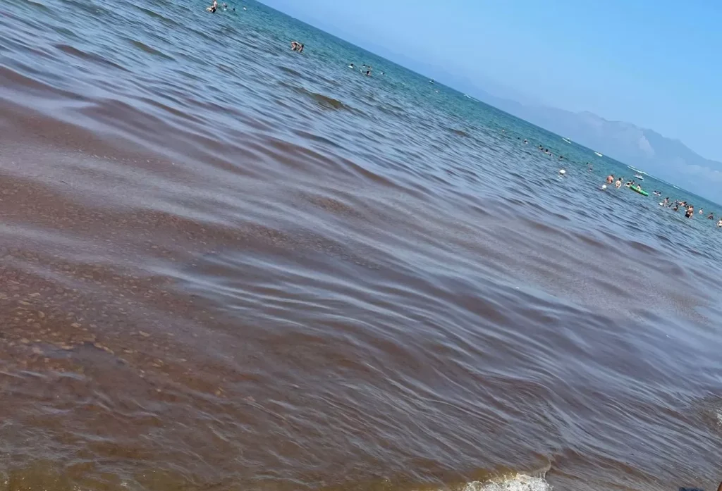 mare-sporco-caserta-alghe-mondragone-baia-felice