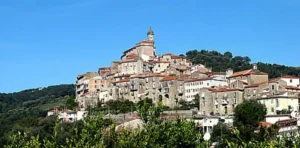 irregolarità elezioni vibonati esclusi consiglio