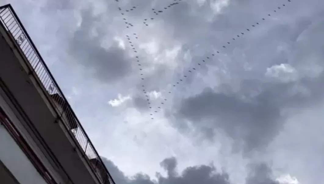 migrazione uccelli gragnano