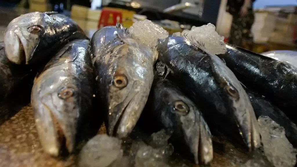 caserta-listeria-merluzzo-ritirato-supermercato