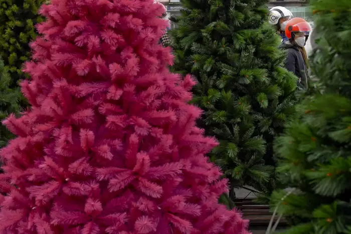 picchiano rubano albero natale