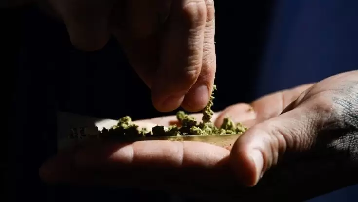pomigliano hashish marijuana