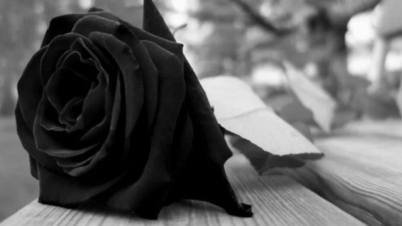 morto professore giuseppe galasso