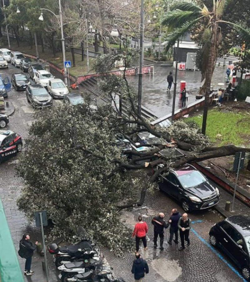 maltempo napoli crollo albero