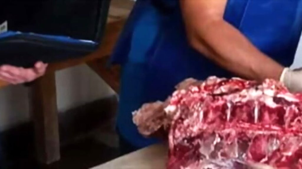 roccamonfina asl chiude macelleria carenze igieniche
