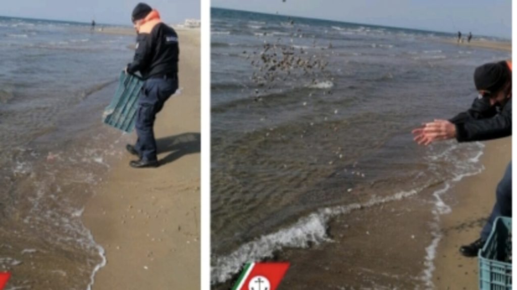 Pesca abusiva di telline nei pressi della foce del canale Agnena. Sequestrati rastelli e un quintale di telline