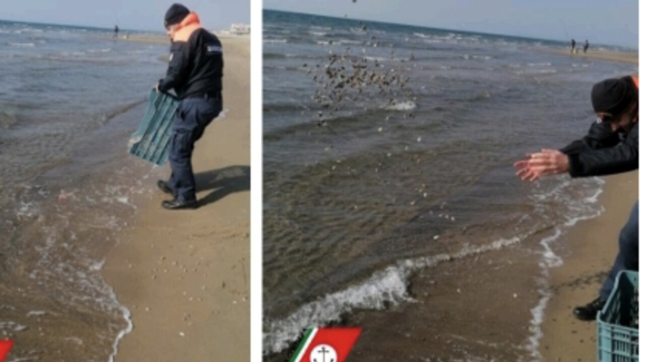 Pesca abusiva di telline nei pressi della foce del canale Agnena. Sequestrati rastelli e un quintale di telline