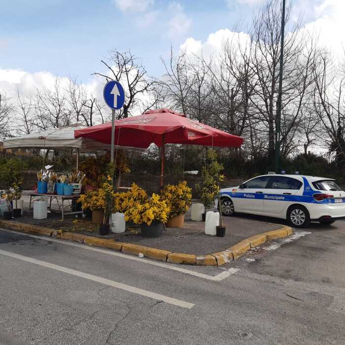 mimose-abusive-sequestro-napoli-2023