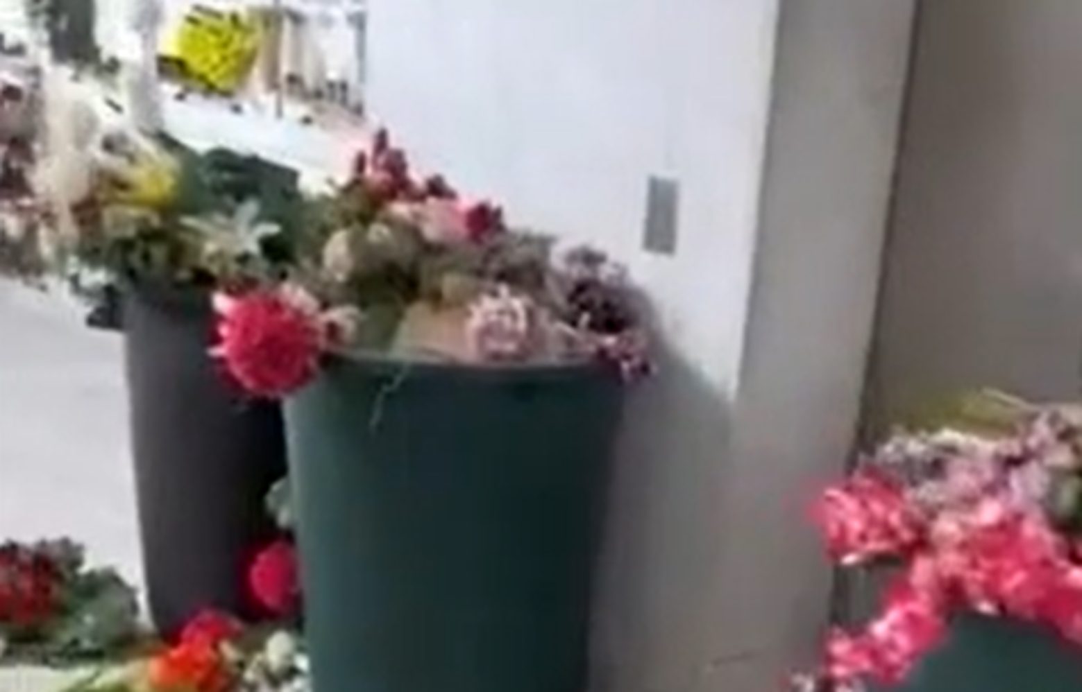 napoli tombe vandalizzate cimitero