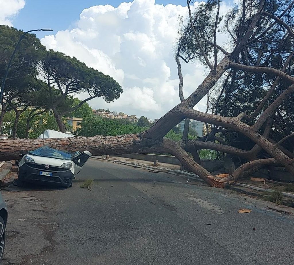 maltempo napoli albero cade furgone
