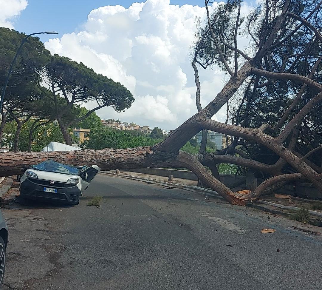 maltempo napoli albero cade furgone