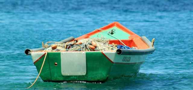 esce pesca polpi muore
