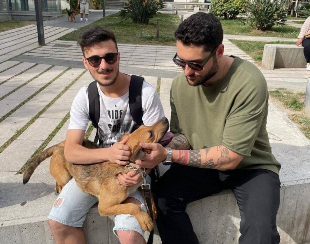 cane-abbandonato-sorrentina-adottato-stradino