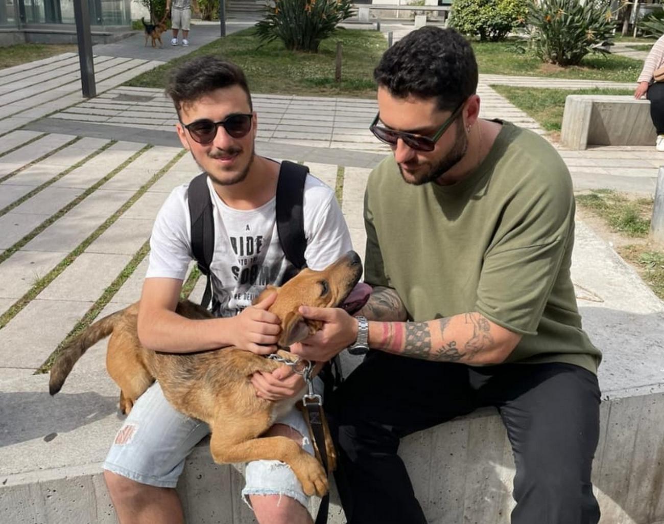 cane-abbandonato-sorrentina-adottato-stradino