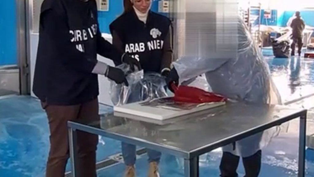 avellino intossicati tonno frode alimentare intercettazioni