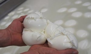 campionato mozzarella 2023 vince jemma battipaglia