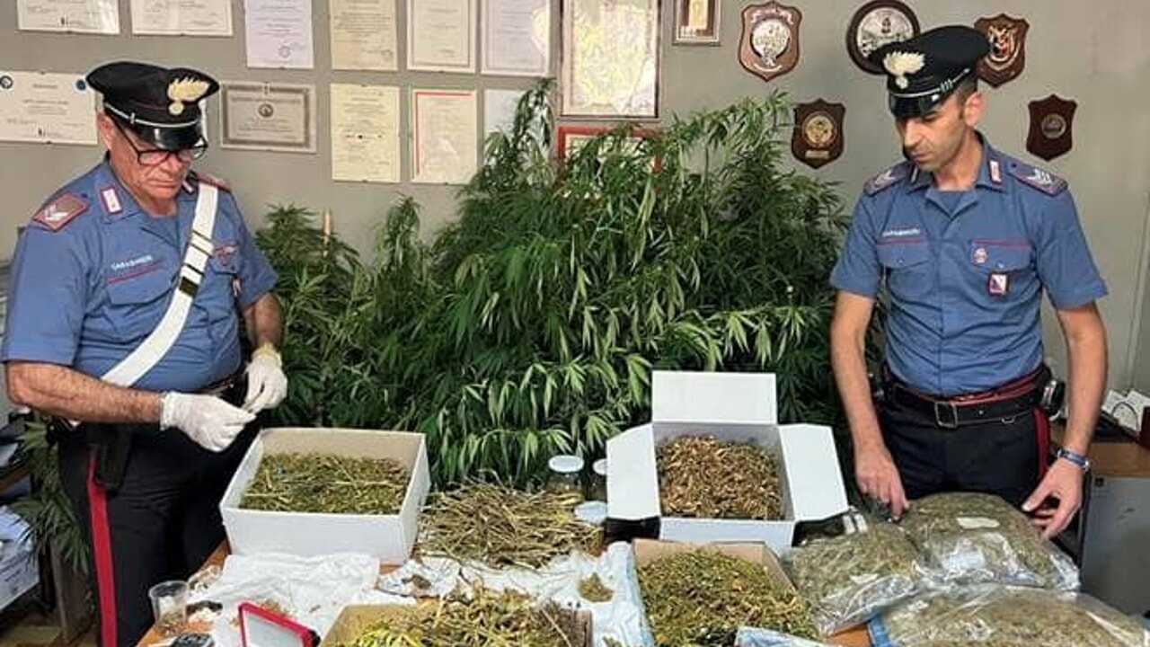 coltivazione sostanze stupefacenti arrestato Fontegreca